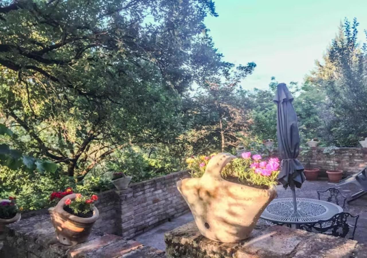 Oasi In The Garden Cozy Home - פרוג'ה מראה חיצוני תמונה