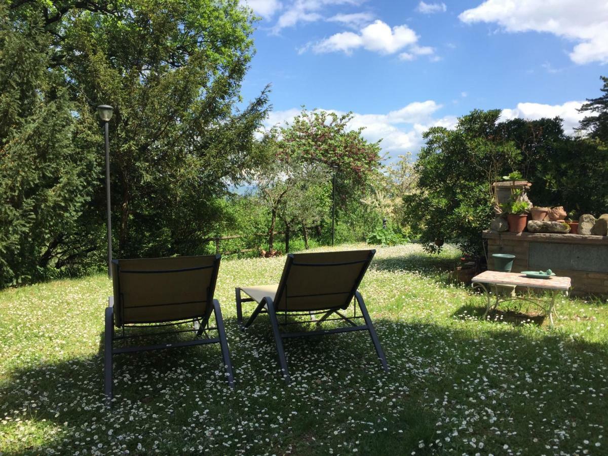 Oasi In The Garden Cozy Home - פרוג'ה מראה חיצוני תמונה